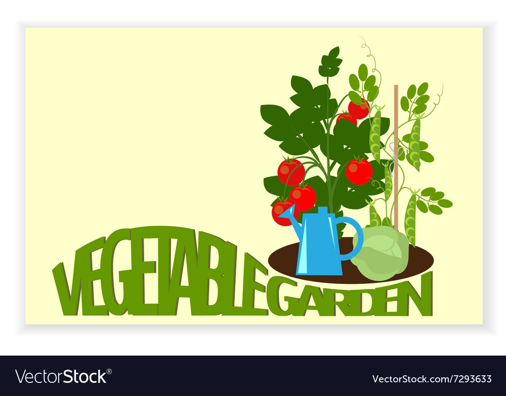 Vegetable garden