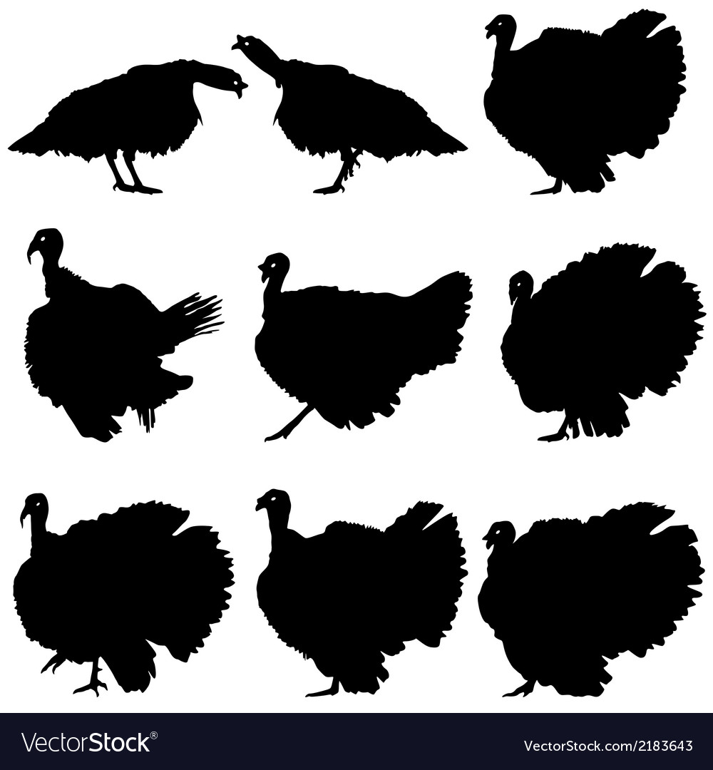 Silhouettes of turkeys Royalty Free Vector Image