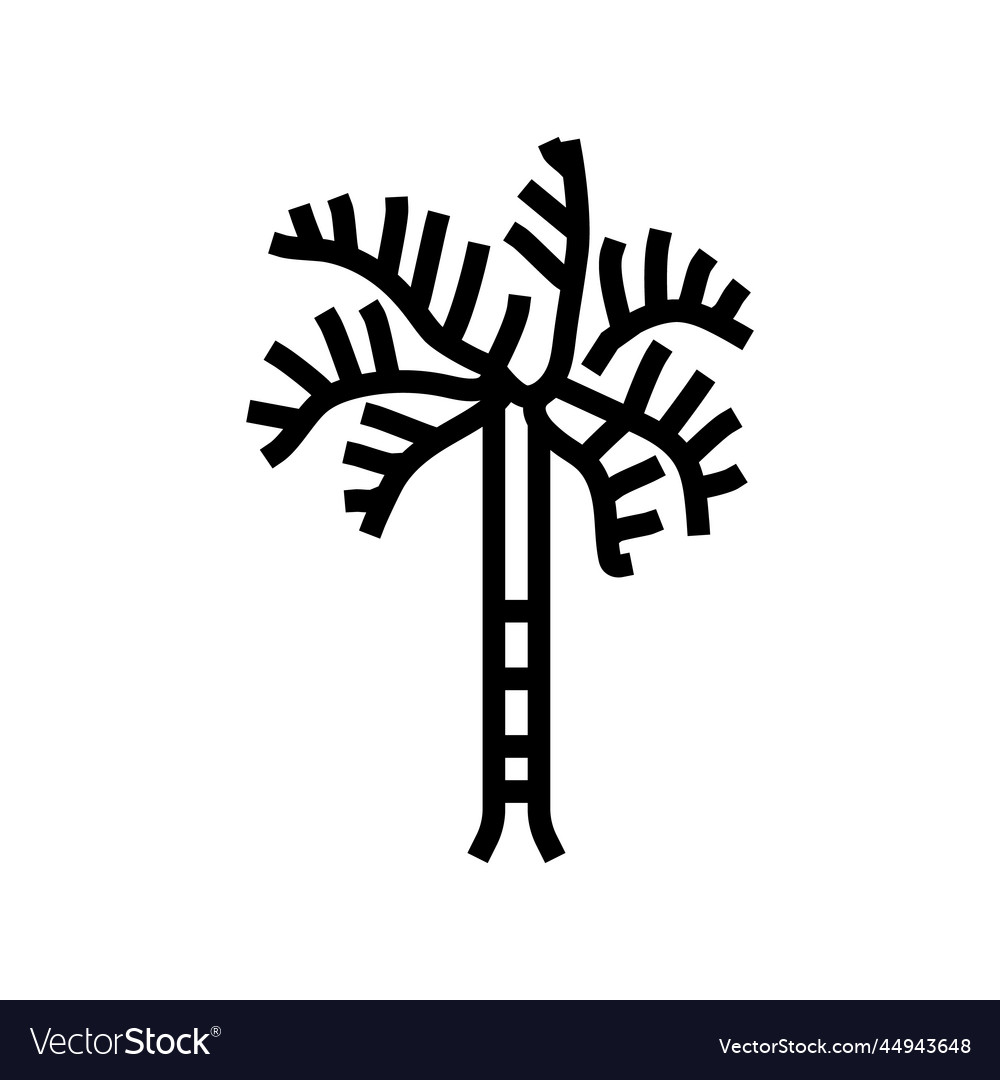 Foxtail palm tree line icon