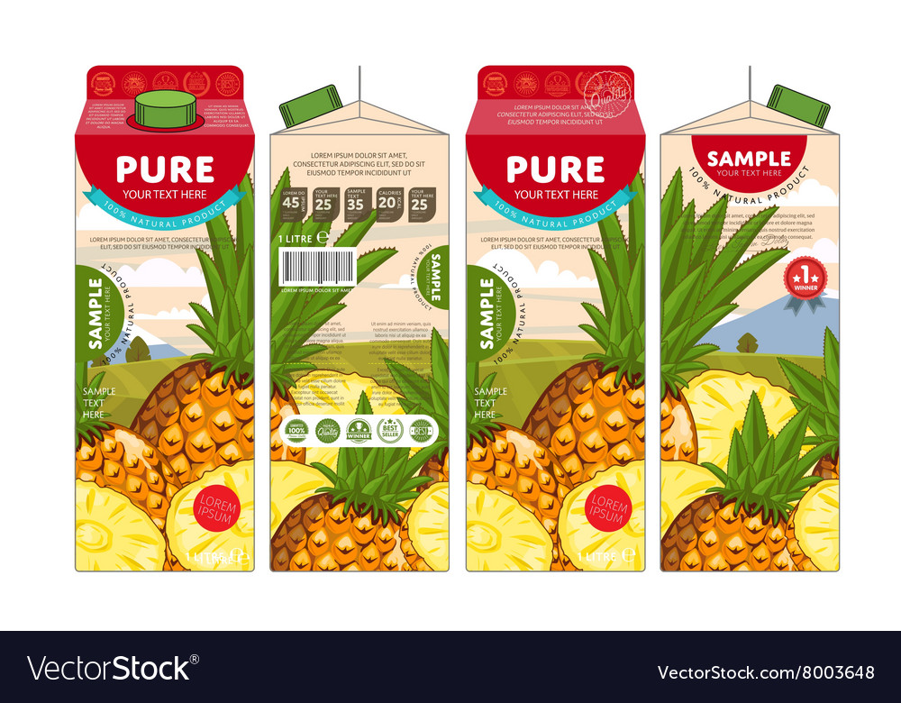 template packaging design pineapple juice vector image