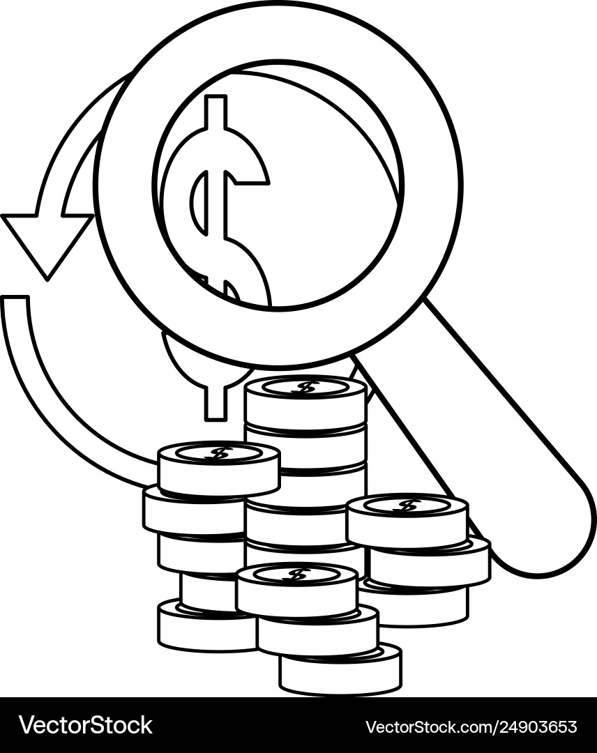 Money coins dollar magnifier Royalty Free Vector Image