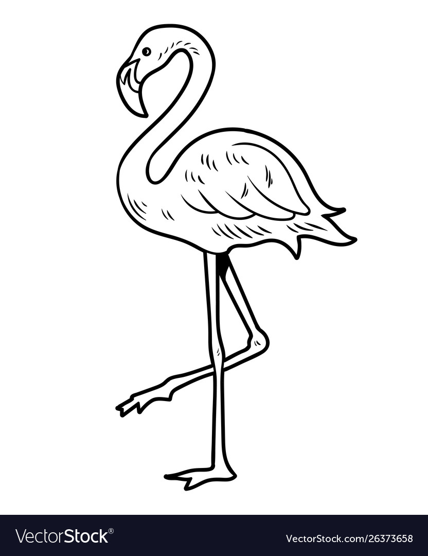 Simple line drawing sketch flamingo Royalty Free Vector