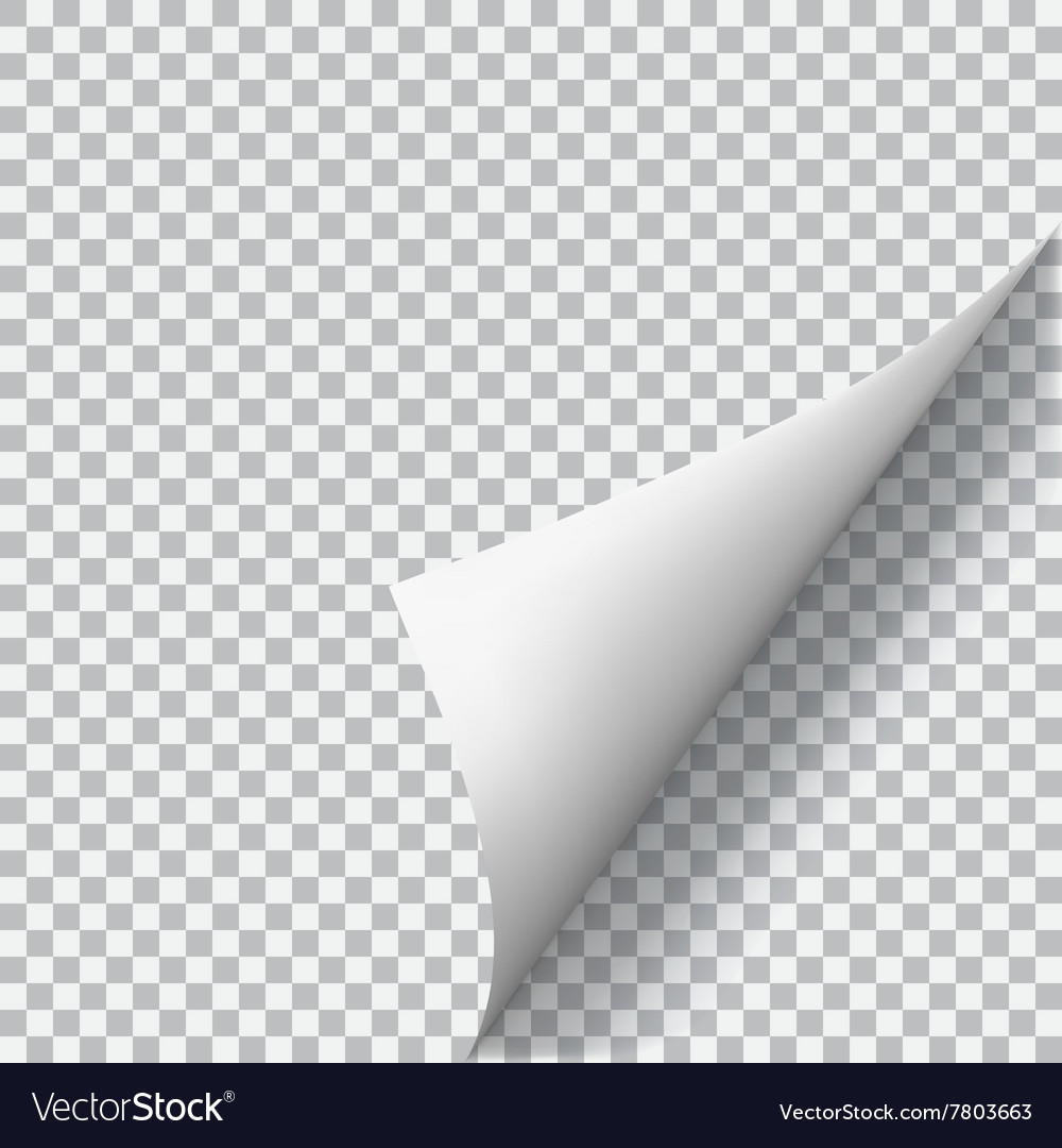 Curled corner of paper