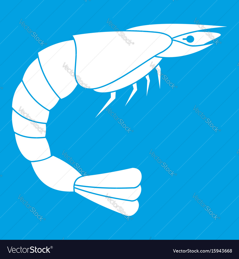 Fresh Sea Shrimp Icon White Royalty Free Vector Image 8534