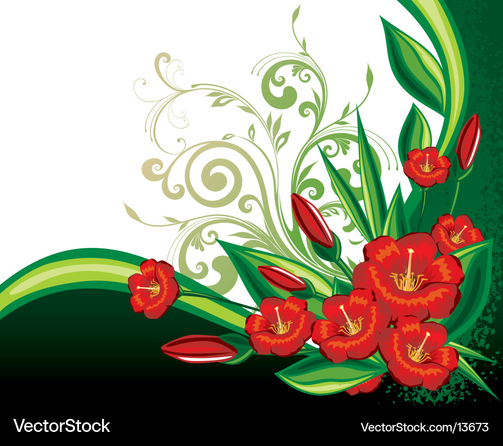 Floral background Royalty Free Vector Image - VectorStock