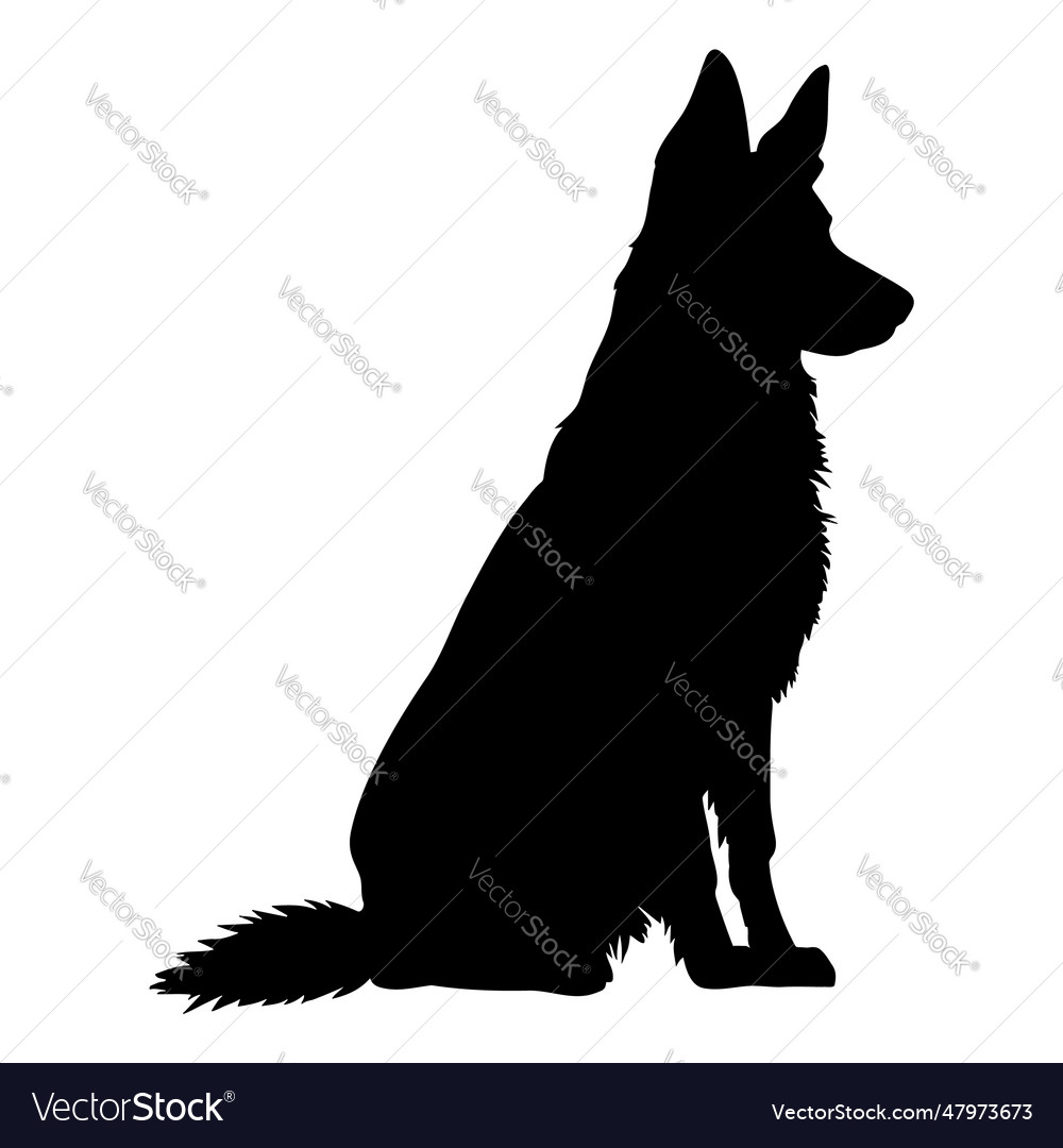 Sitting german shepherd dog silhouette Royalty Free Vector