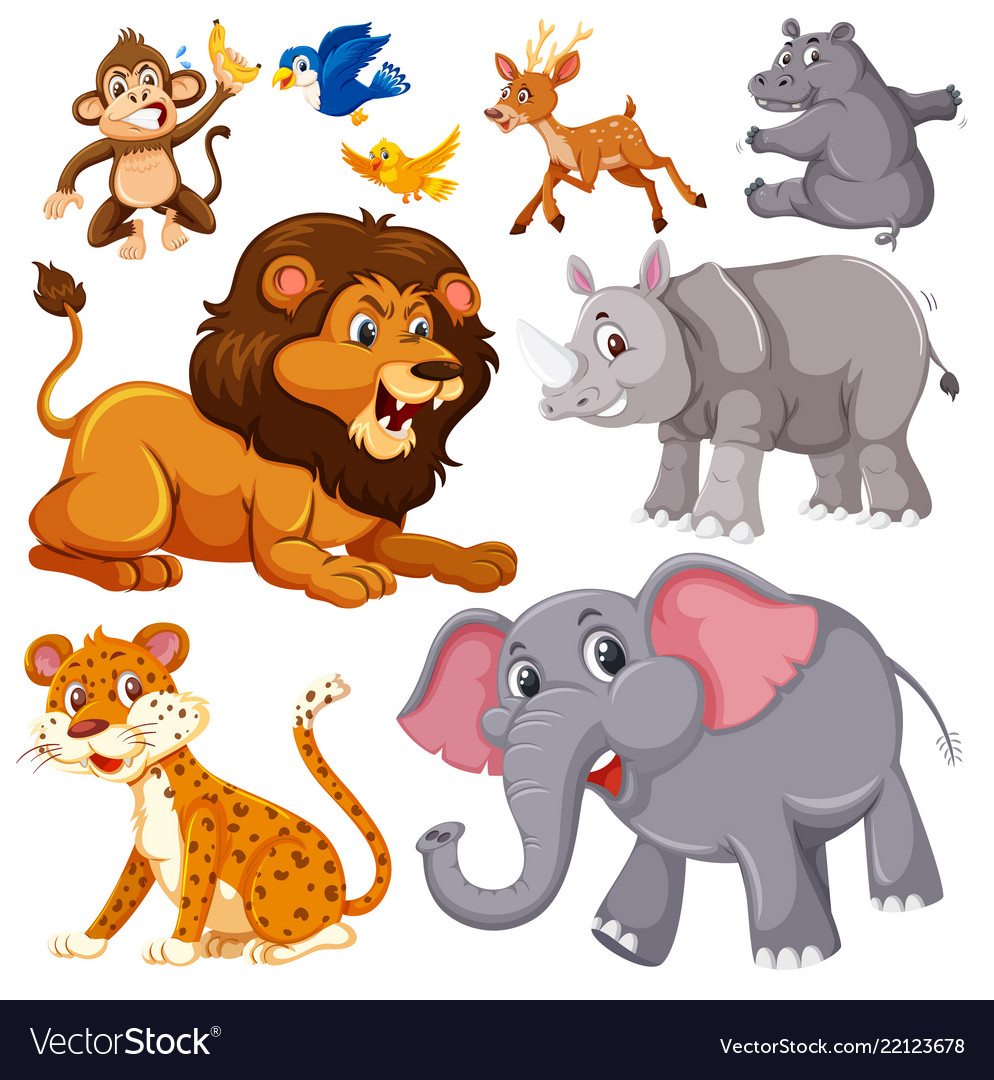 A set wild animals Royalty Free Vector Image - VectorStock