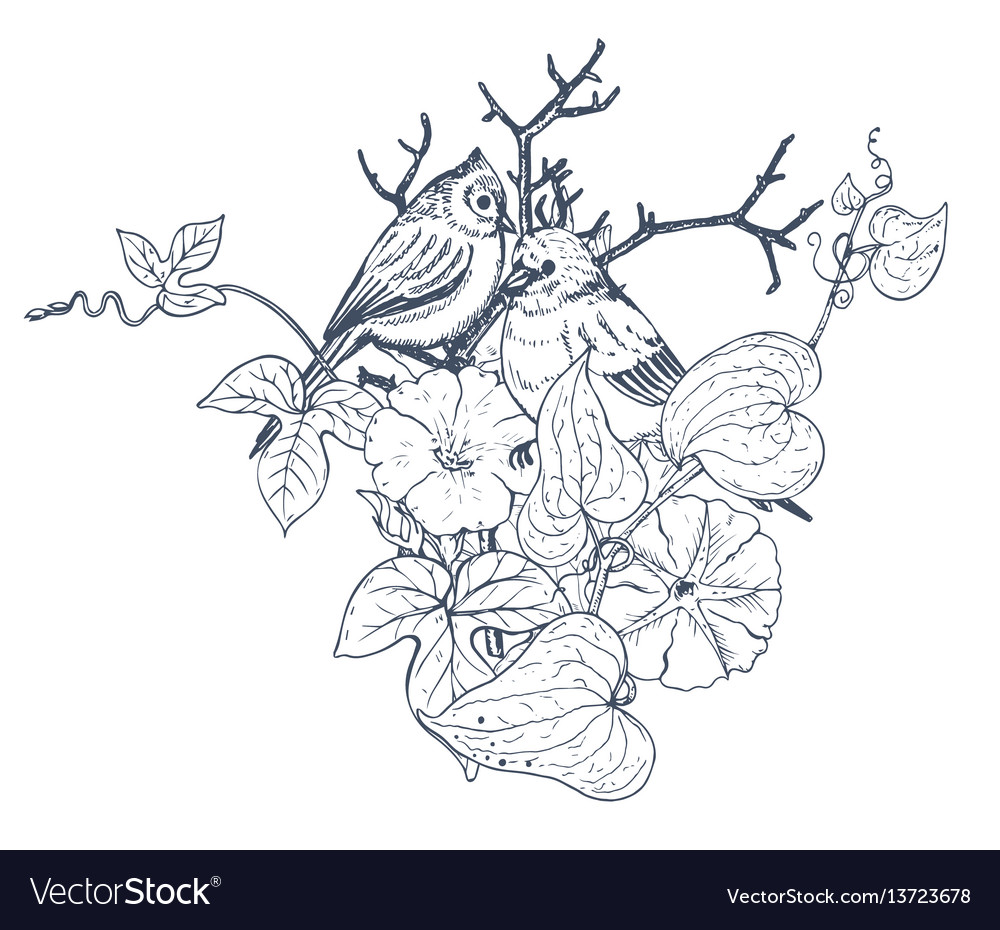 Floral composition bouquet with hand drawn Vector Image