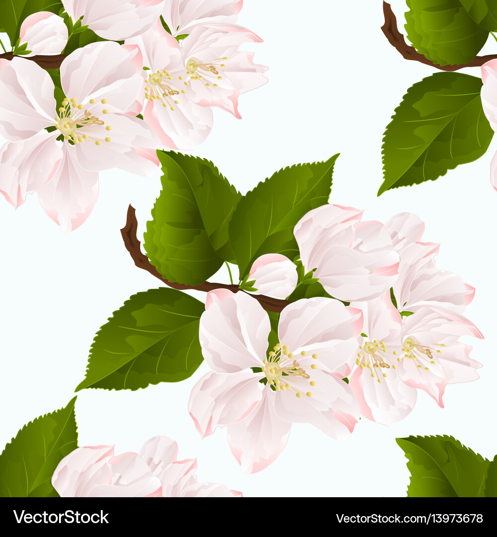 Seamless texture apple blossom twig with leaves Vector Image