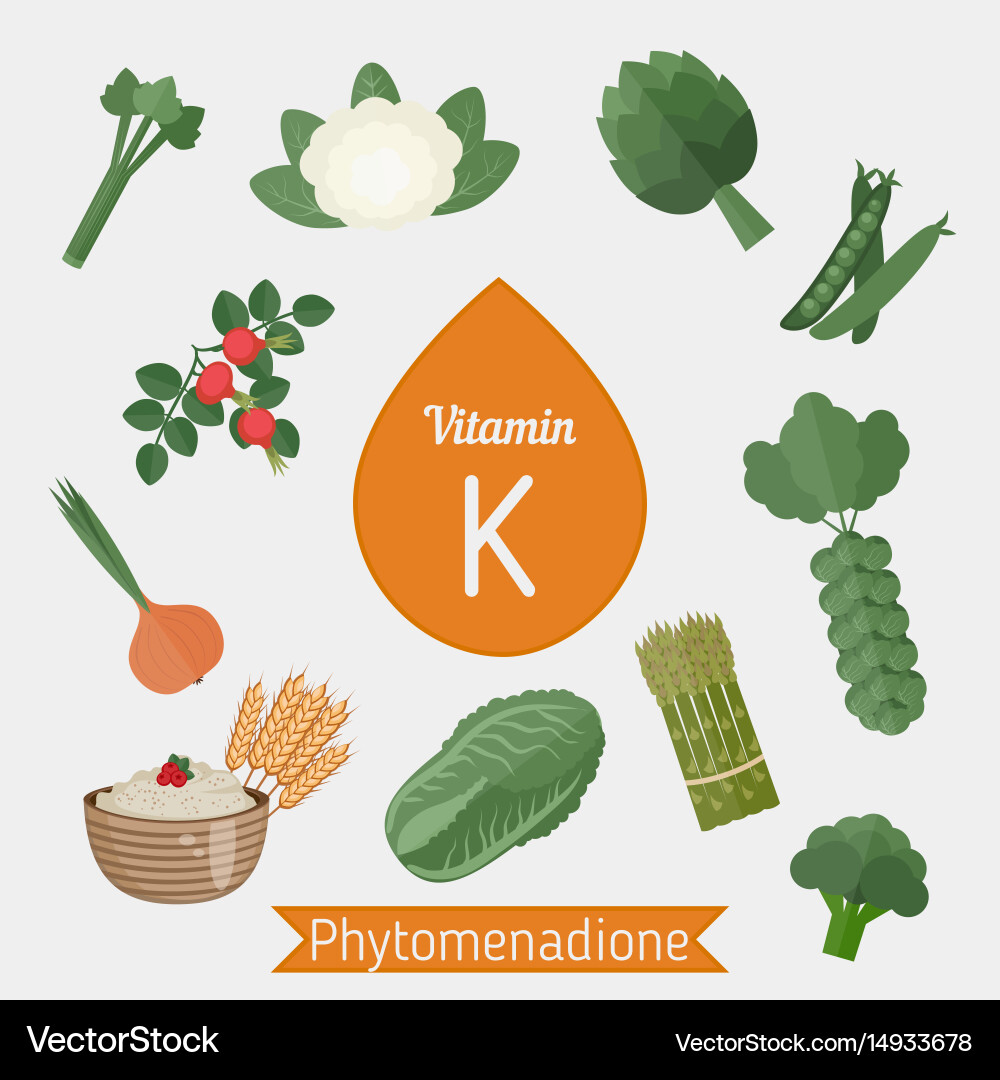 Vitamin k or phylloquinone infographic k Vector Image