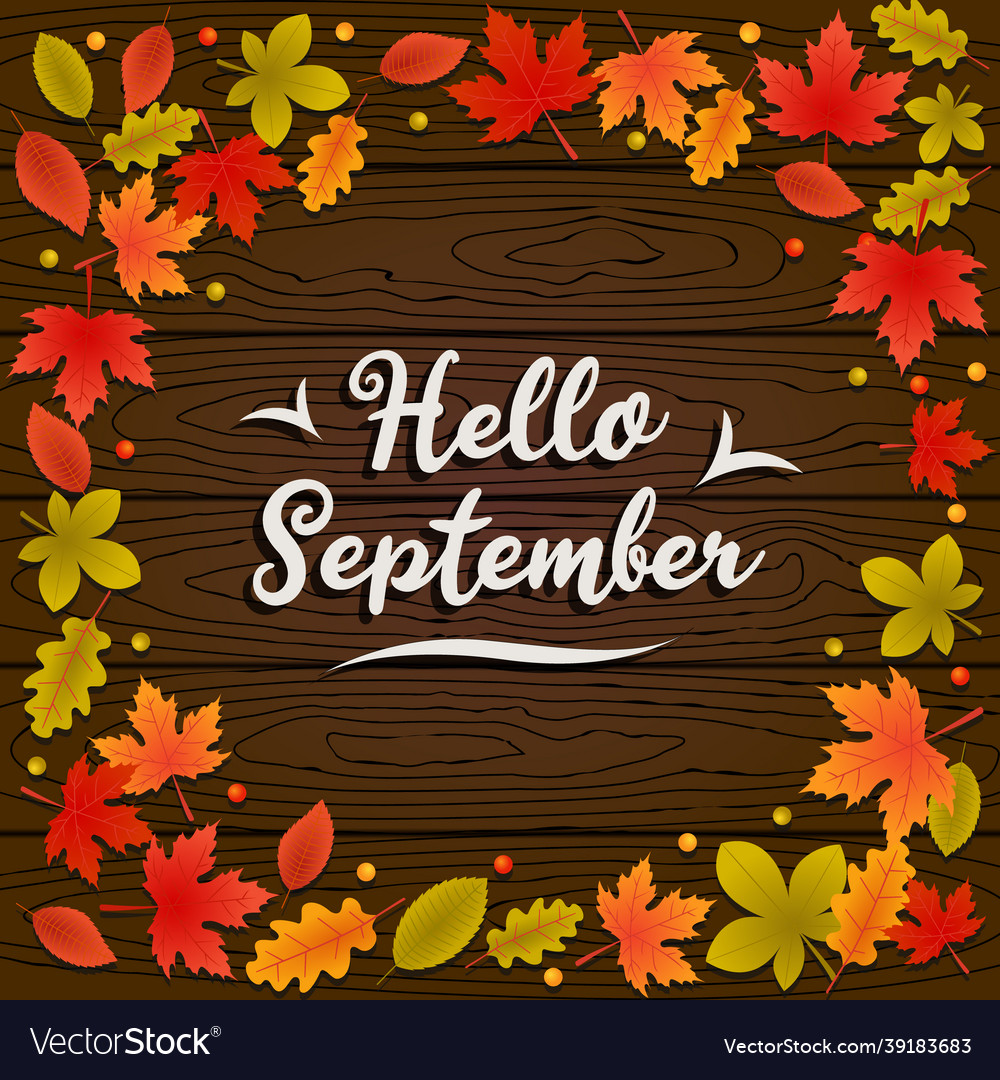 Hello september autumn background with leaves Vector Image