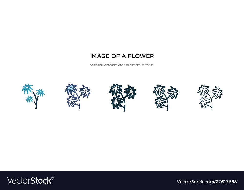 Image a flower icon in different style two