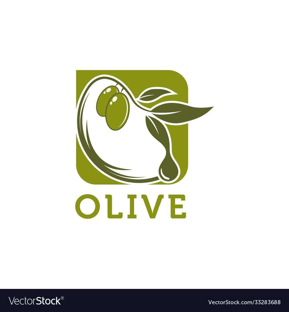 Olive oil logo template design emblem