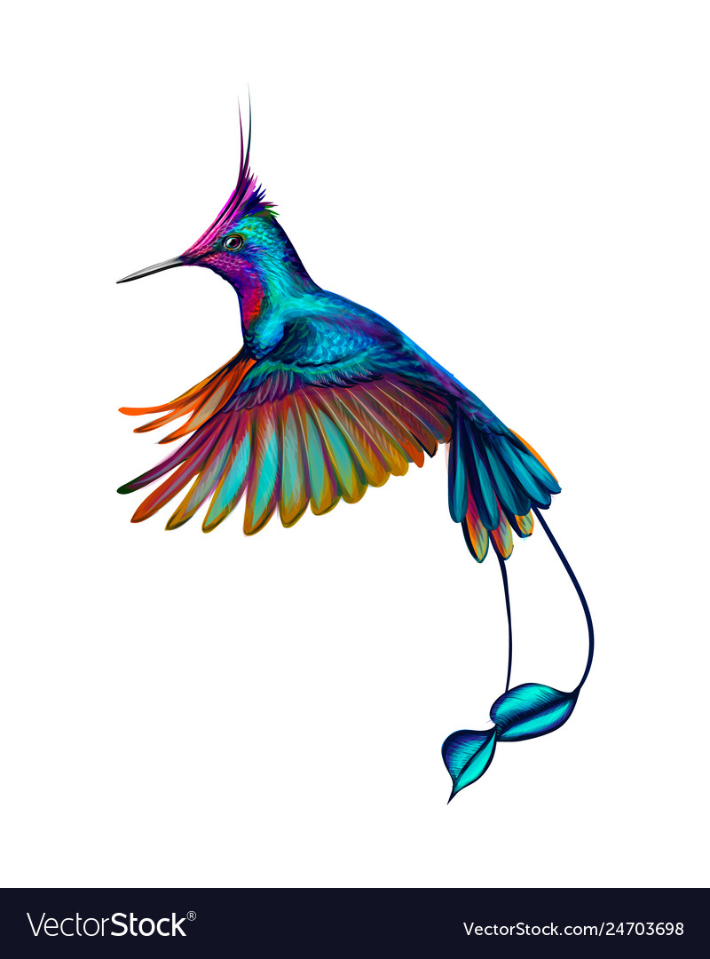 Hummingbird from a splash of watercolor hand vector image Hummingbird from a splash of watercolor hand
