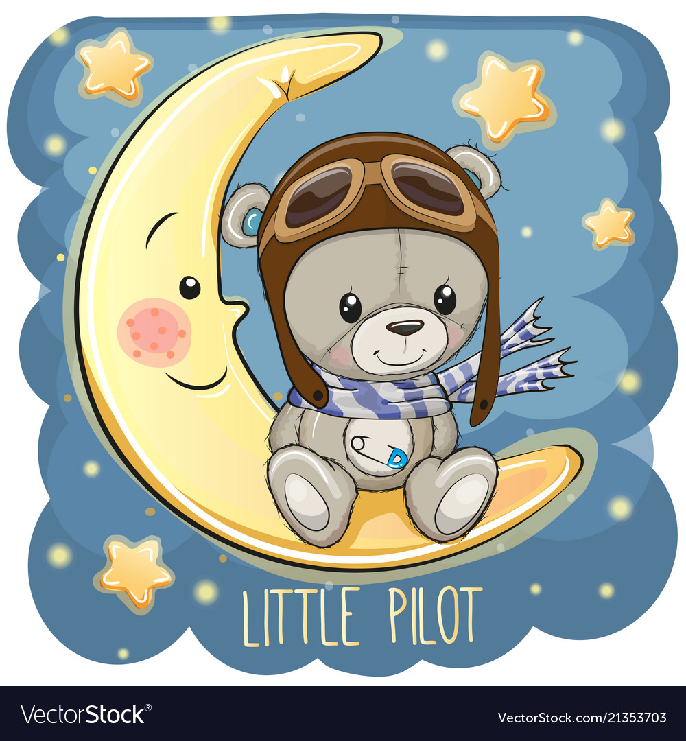 aviation teddy bear