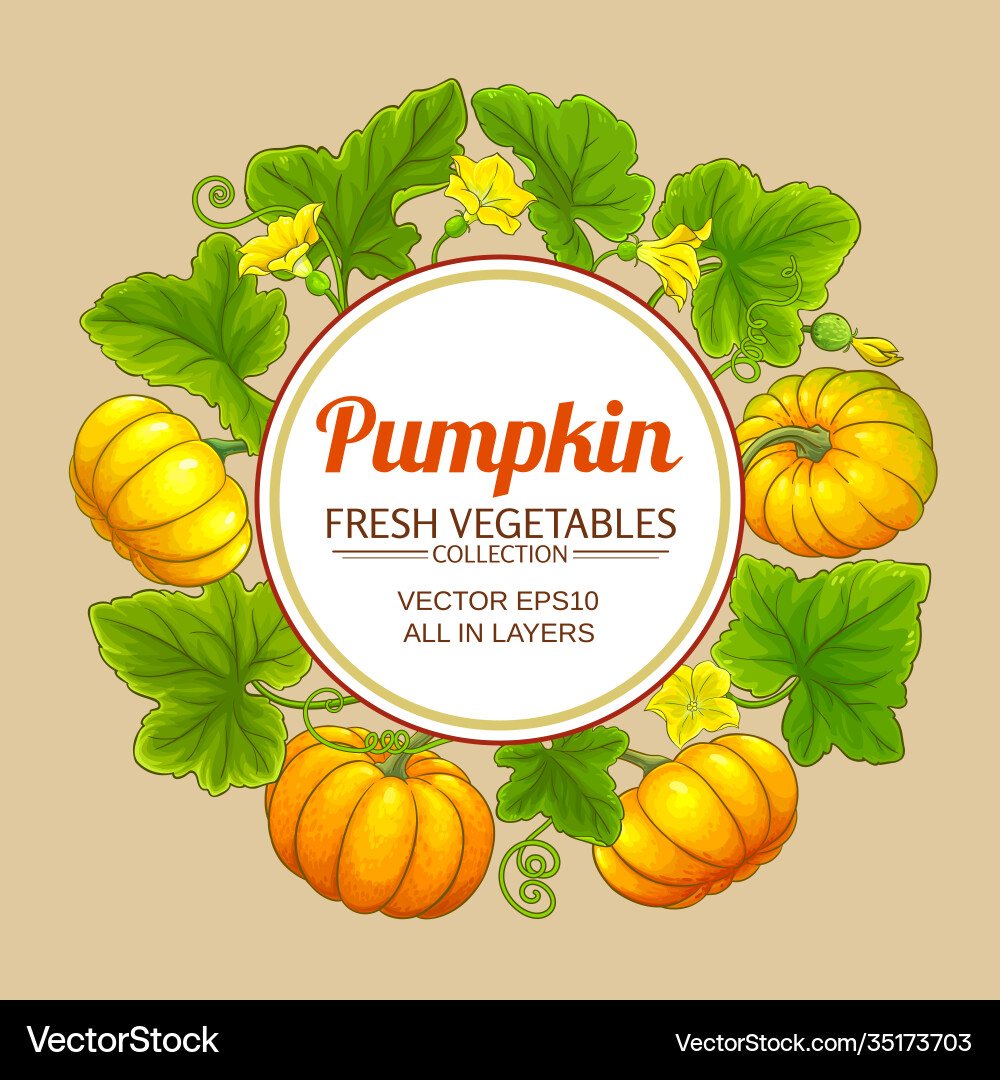 Pumpkin frame Royalty Free Vector Image - VectorStock