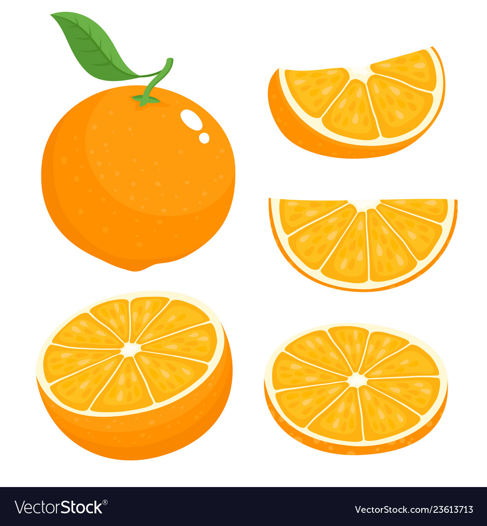 Bright set of colorful juicy orange Royalty Free Vector