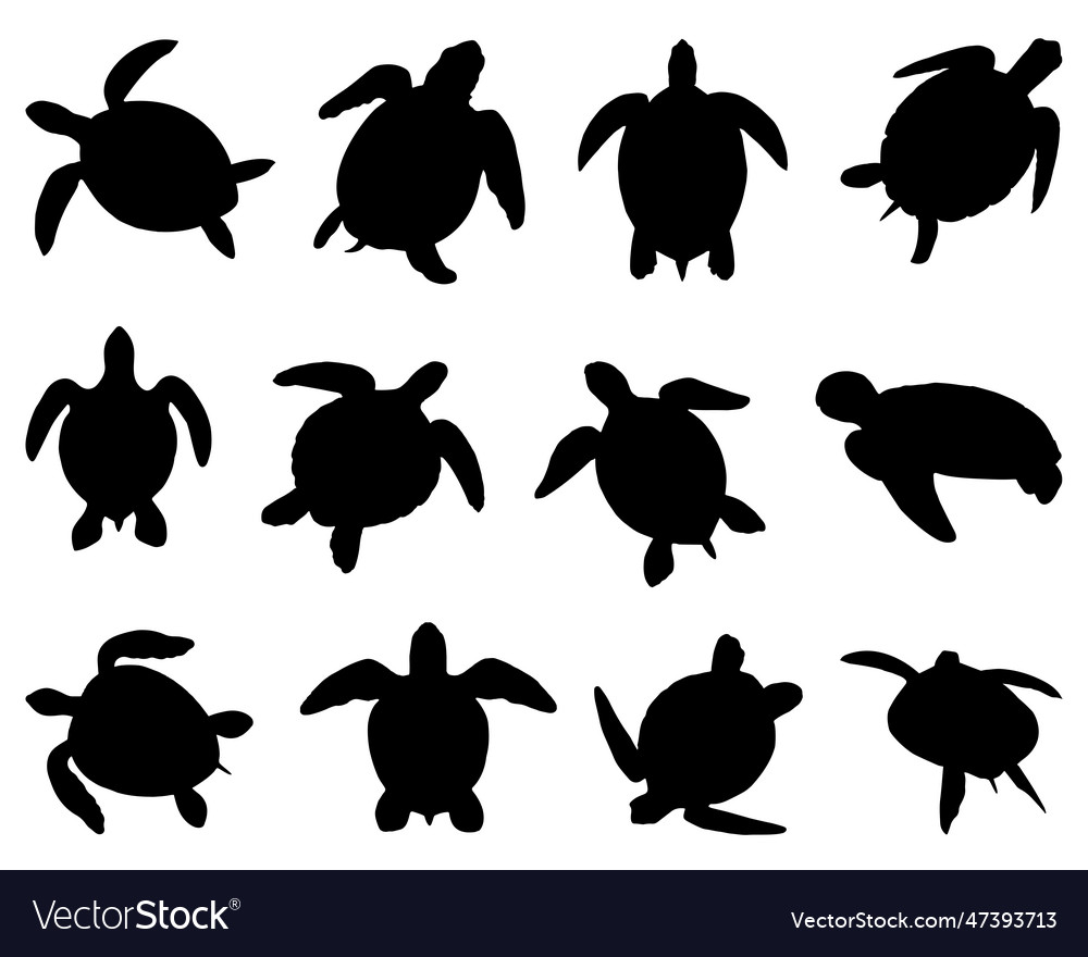 Sea turtle silhouette bundle Royalty Free Vector Image