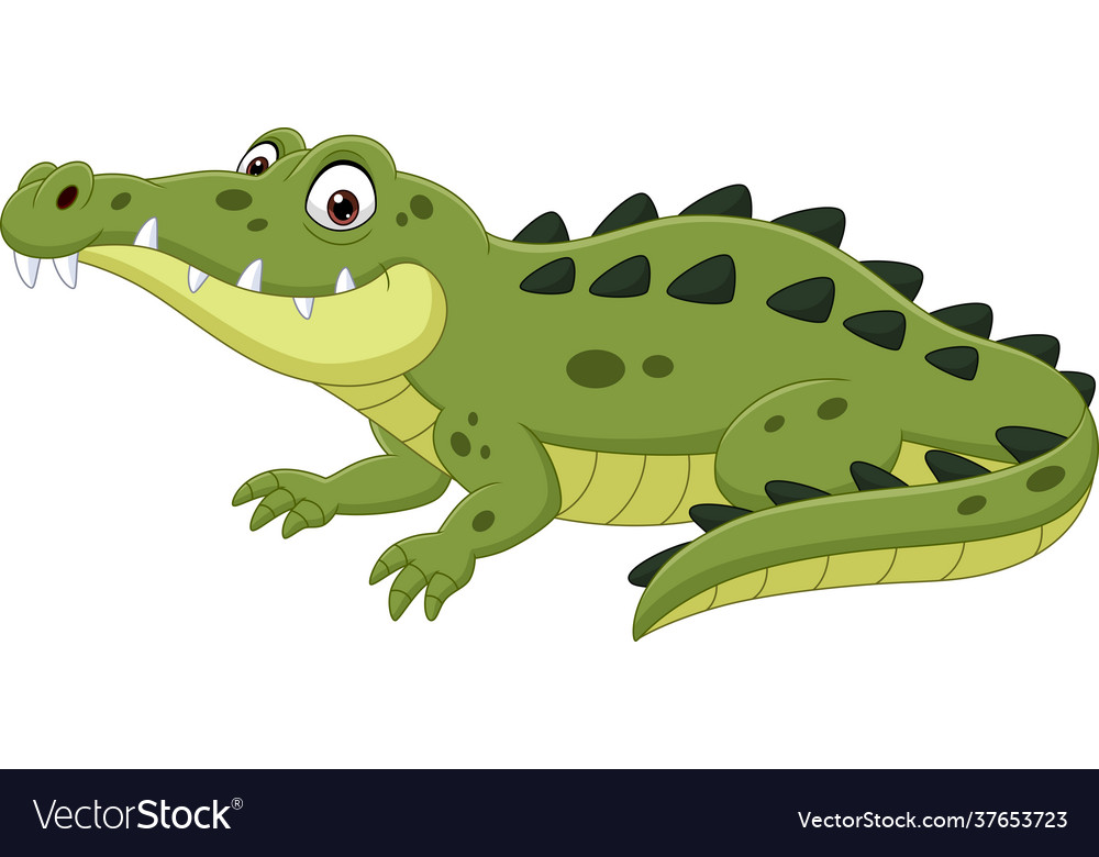 Cartoon crocodile isolated on white background Vector Image