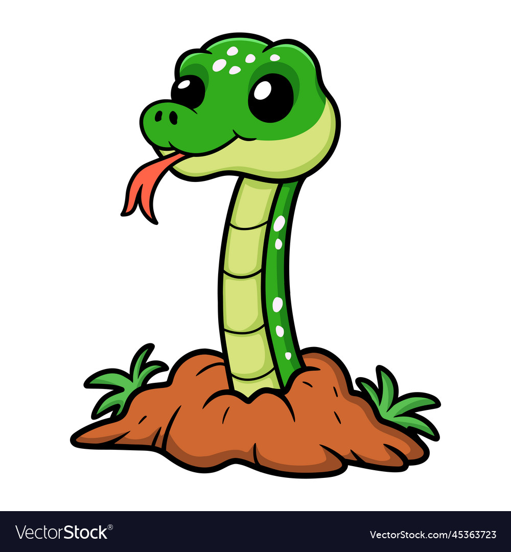 Cute green tree python cartoon out from hole Vector Image
