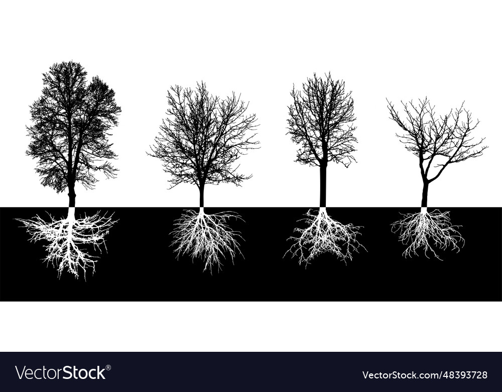 Bare deciduous trees with root system silhouette Vector Image