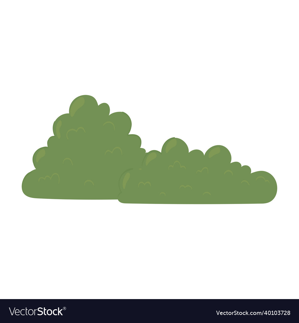 Bushes Nature Foliage Royalty Free Vector Image