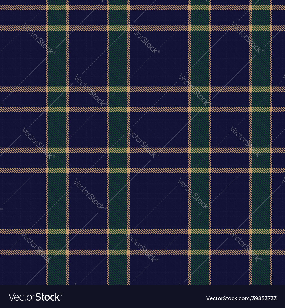 Asymmetric plaid textured seamless pattern Vector Image