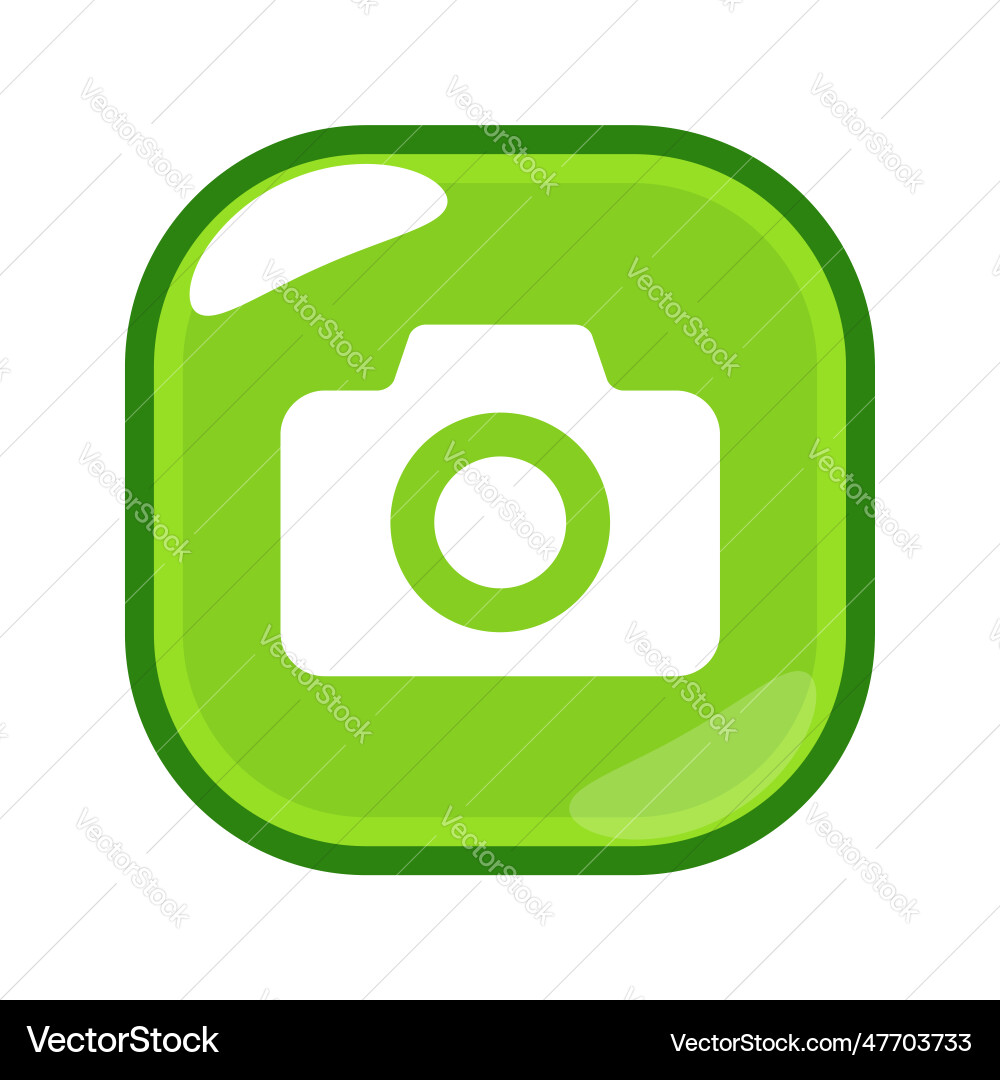 Screen capture camera icon button Royalty Free Vector Image