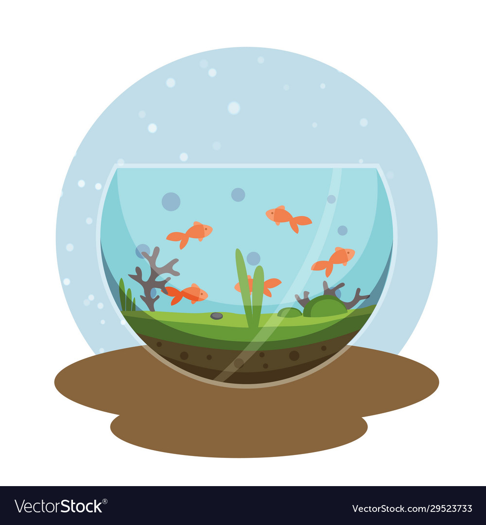 Transparentes Aquarium mit goldenen Fischen