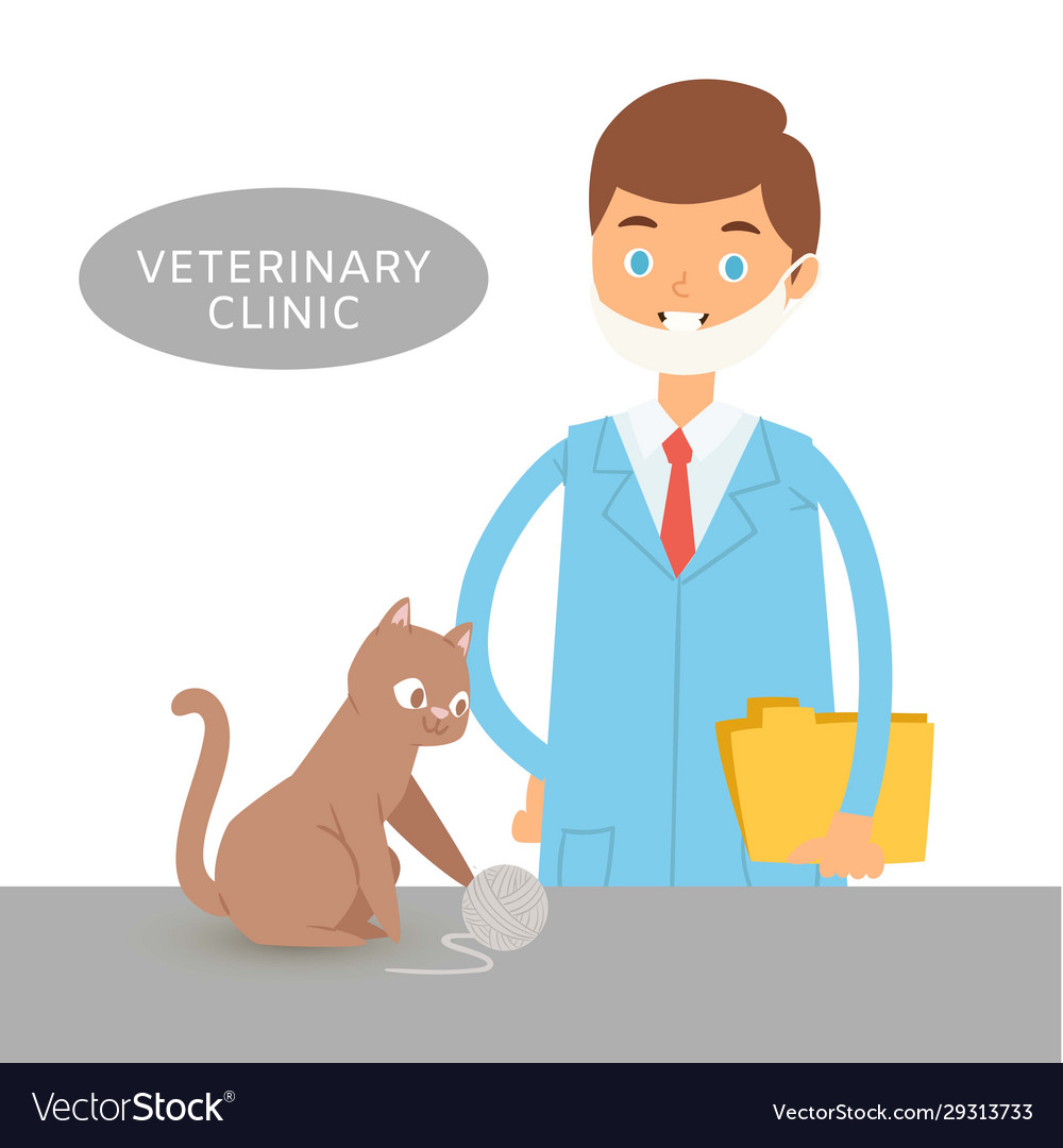 Veterinary doctor in clinic with ill