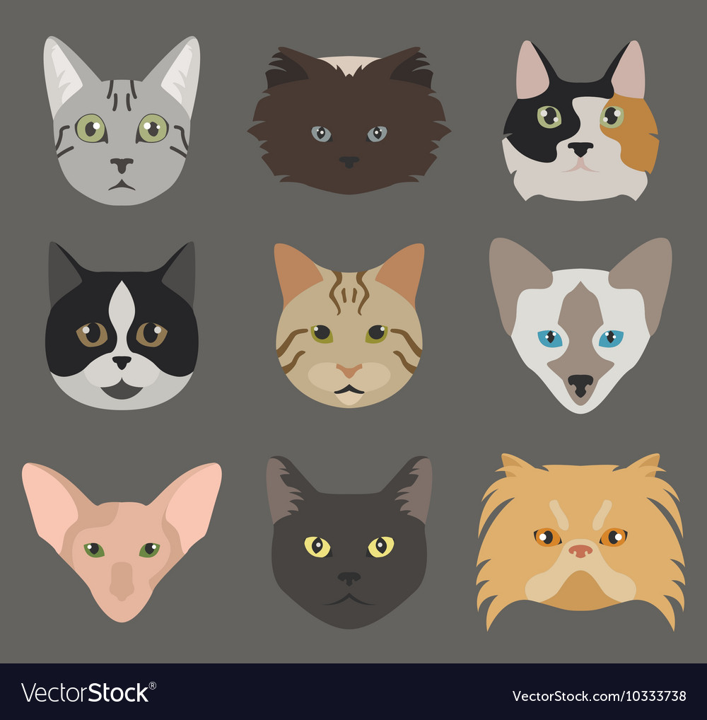 Free Vector  Domestic cat breeds flat icons collection