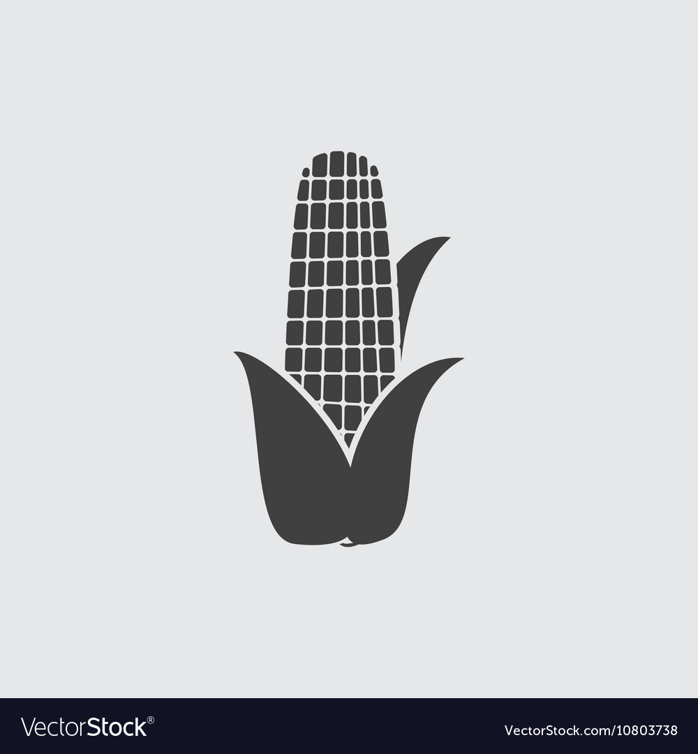 Corn icon