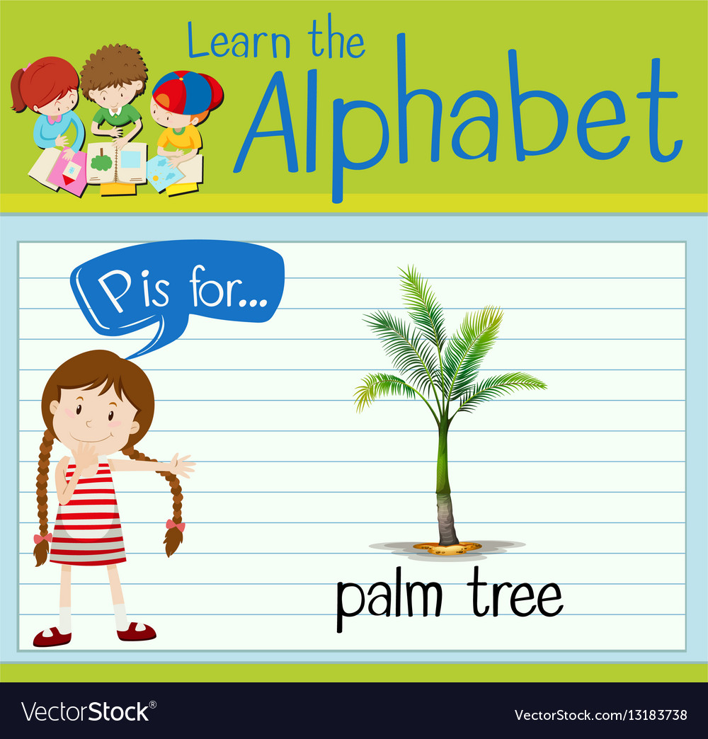 Flashcard letter p is for palm tree