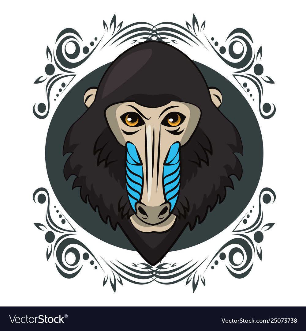 Mandrill face cool sketch