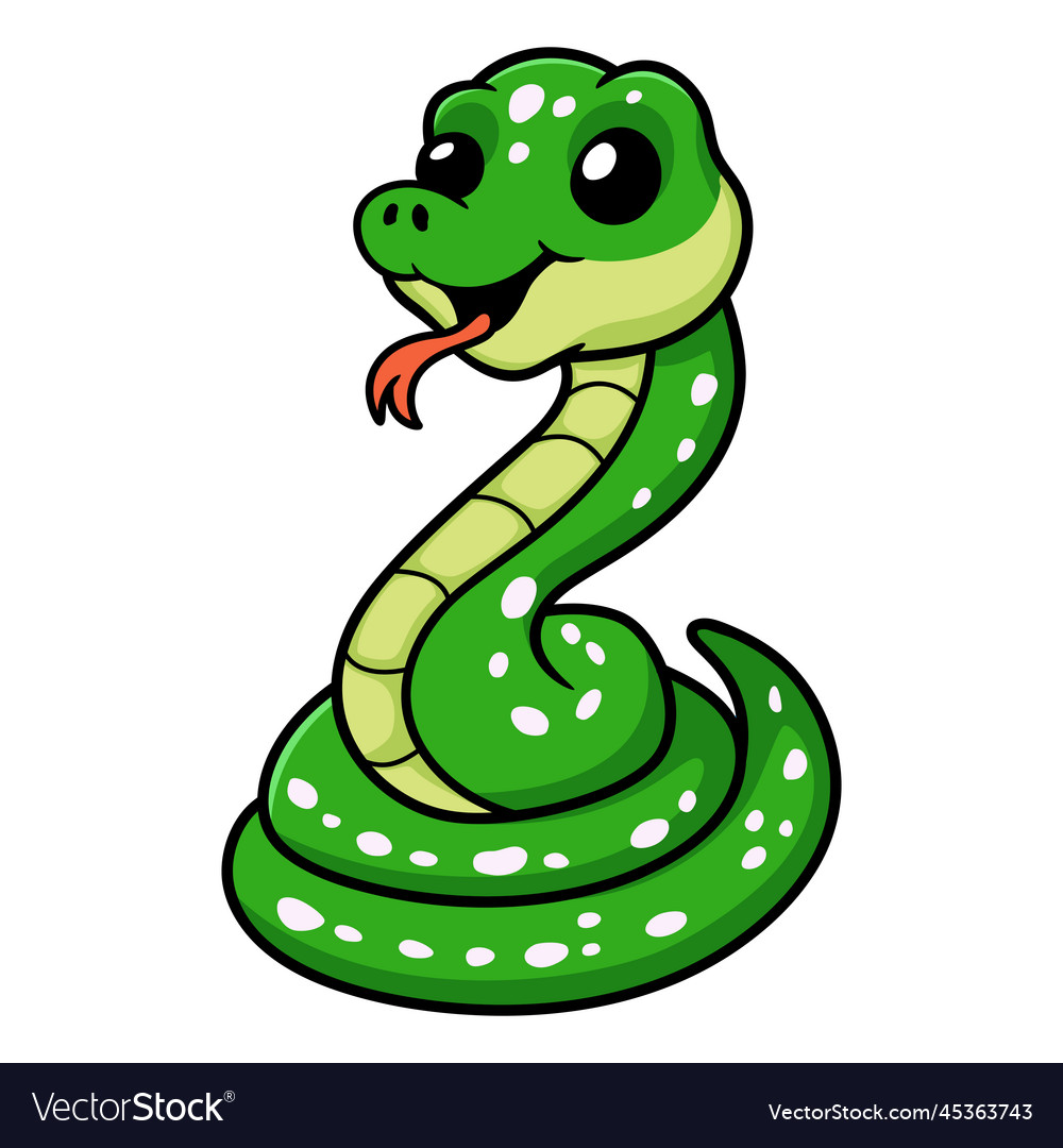 Cute green tree python cartoon Royalty Free Vector Image