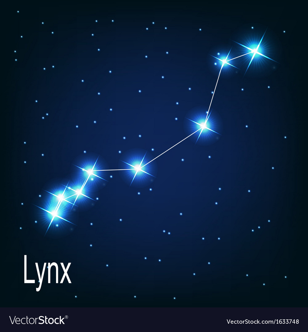 Constellation lynx star in the night sky