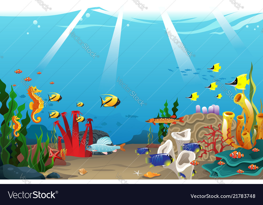 Marine life Royalty Free Vector Image - VectorStock