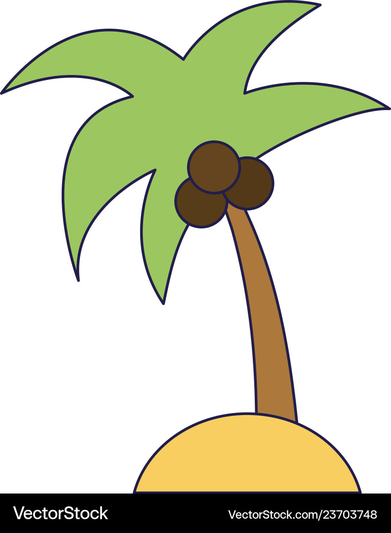 Tree Palm With Coconuts Royalty Free Vector Image