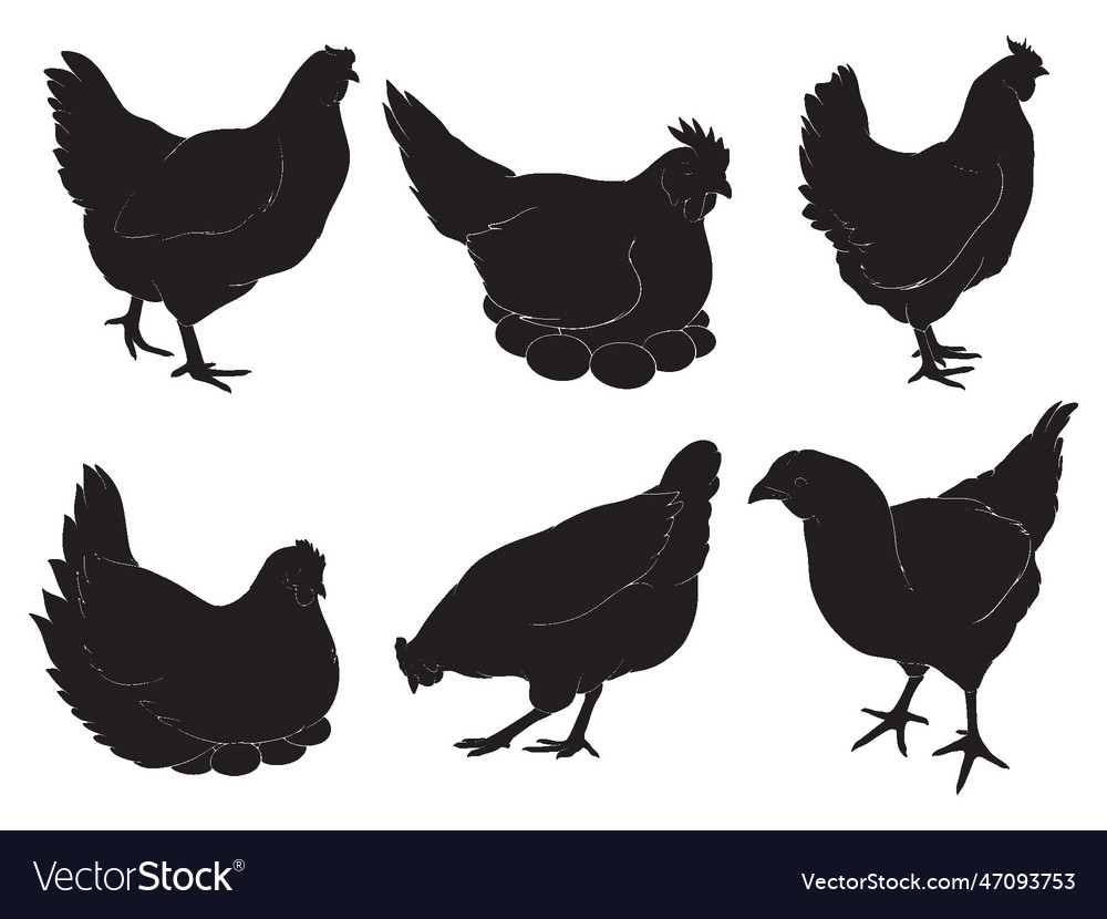 Hand drawn silhouette of hen