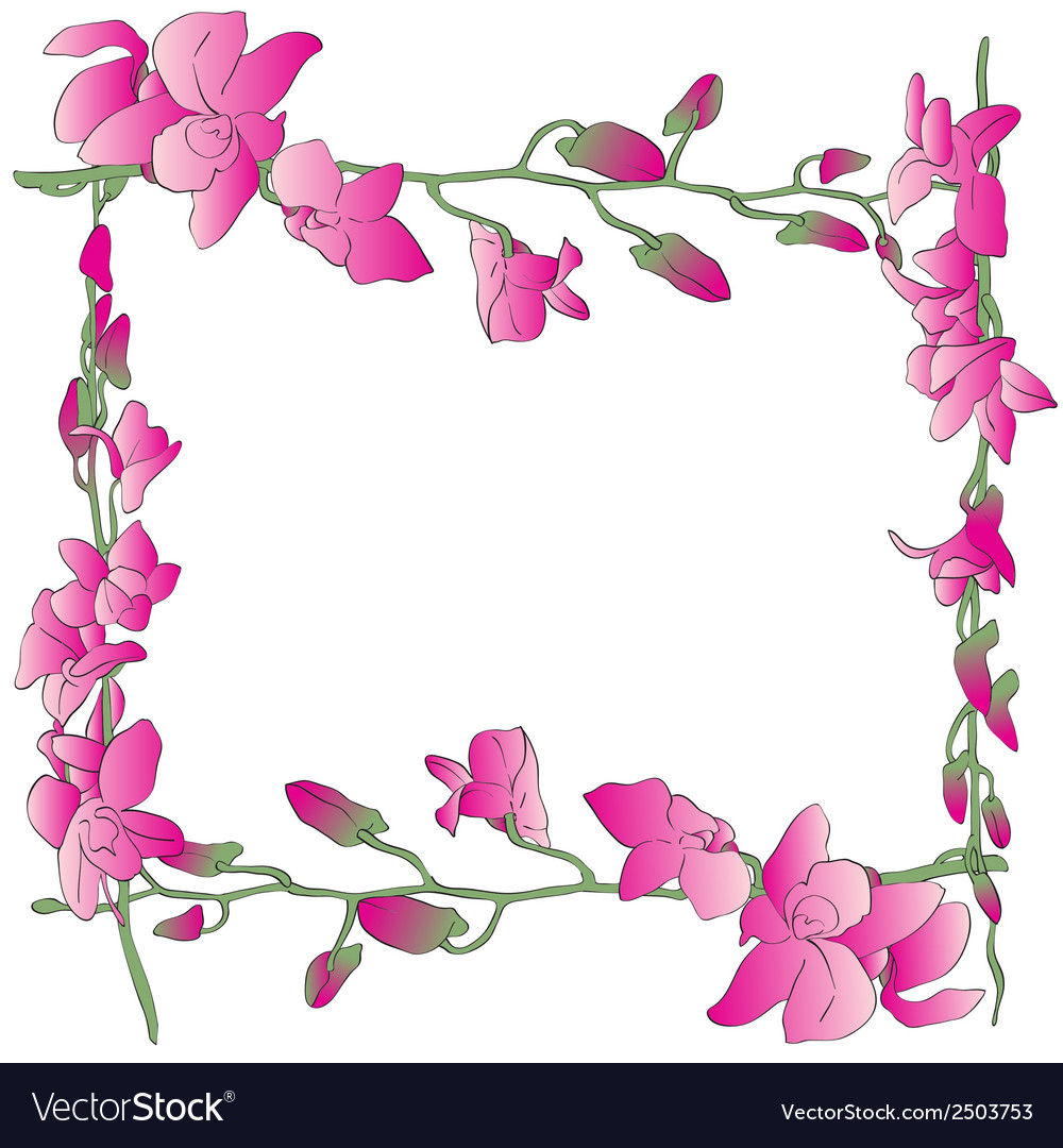 Long orchids frame Royalty Free Vector Image - VectorStock