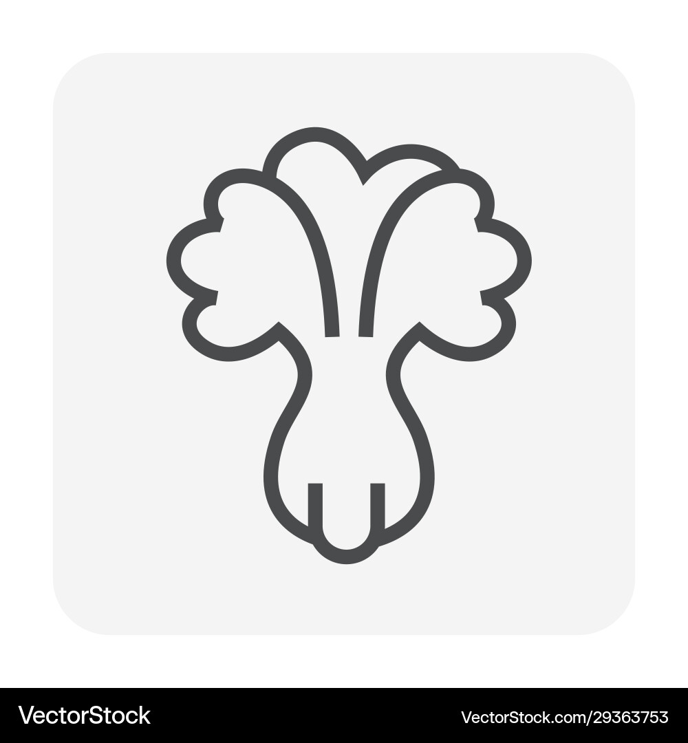 Vegetable icon black Royalty Free Vector Image