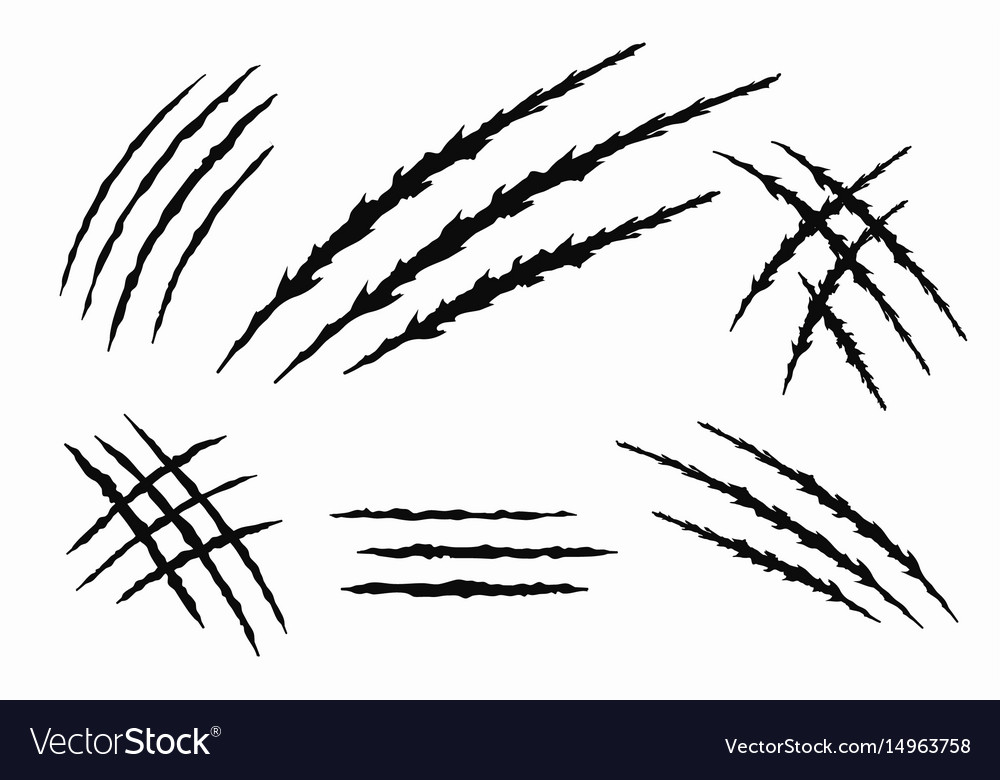 Claw scratches Royalty Free Vector Image - VectorStock