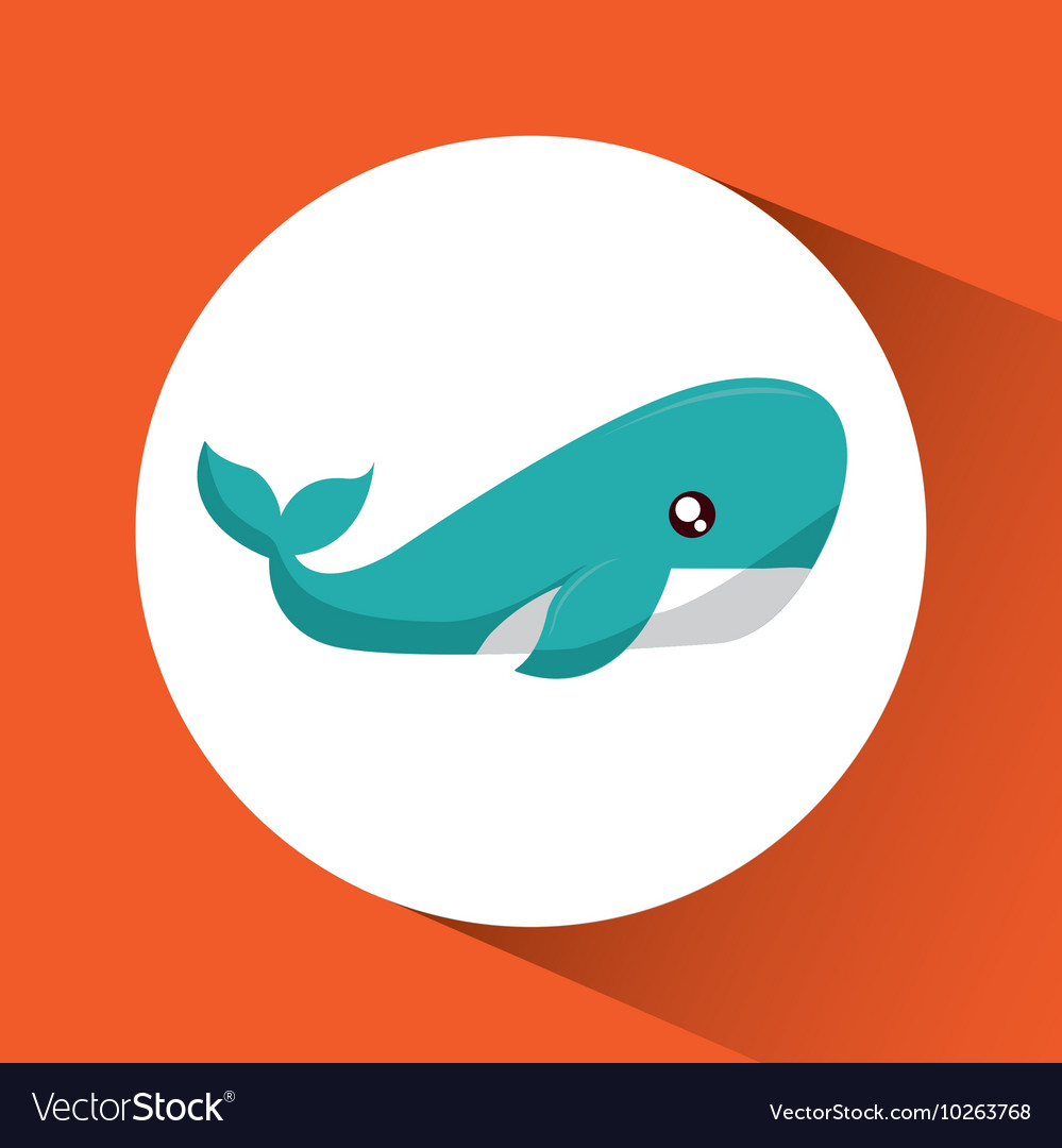 Whale cartoon over circle icon graphic