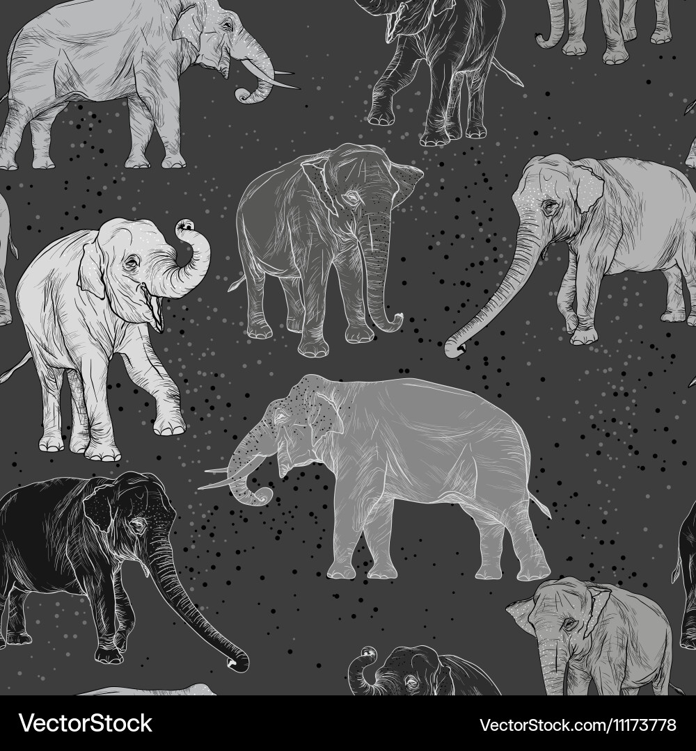 Seamless pattern with wild elephant Royalty Free Vector