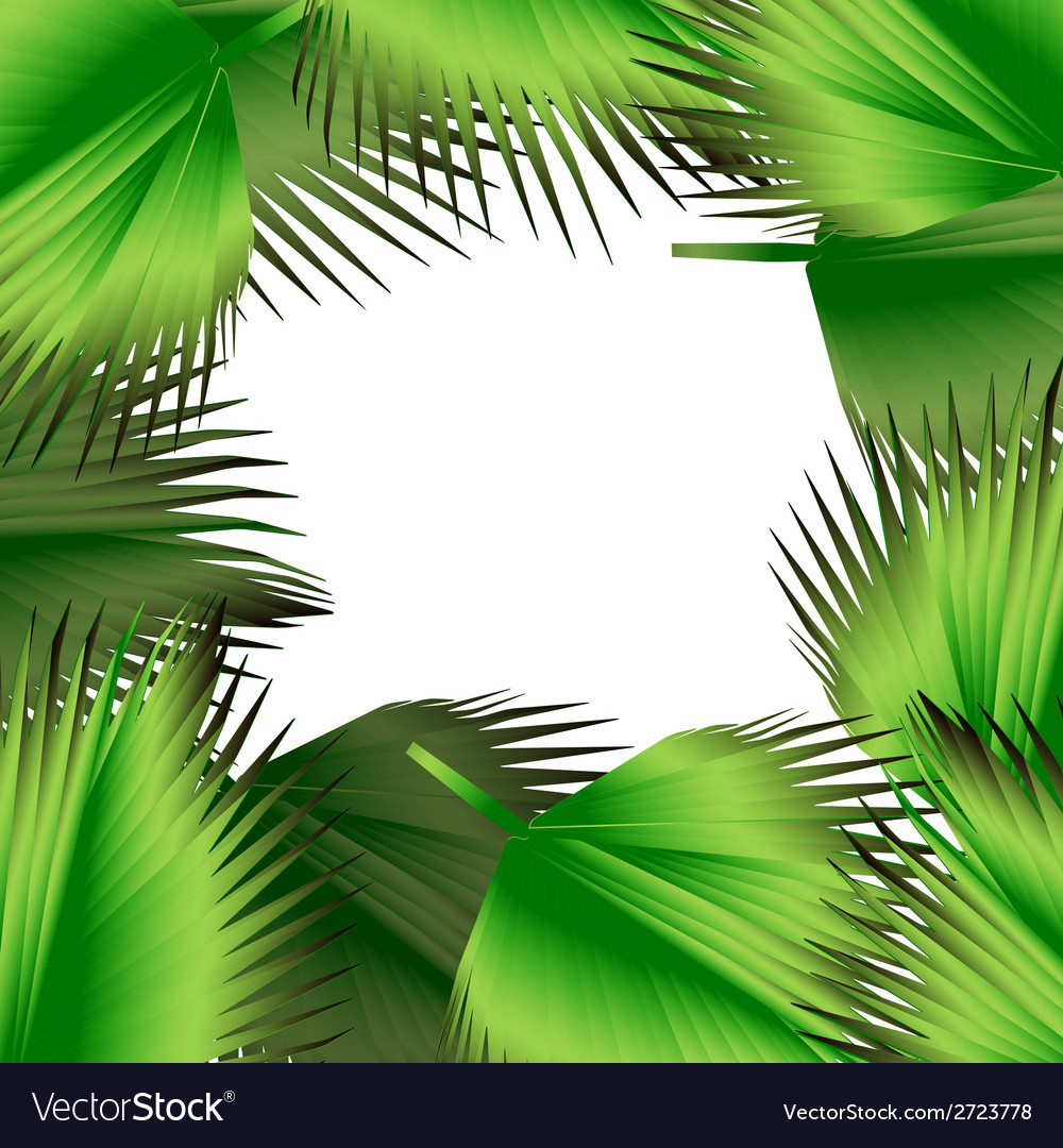 Tropical green leaves