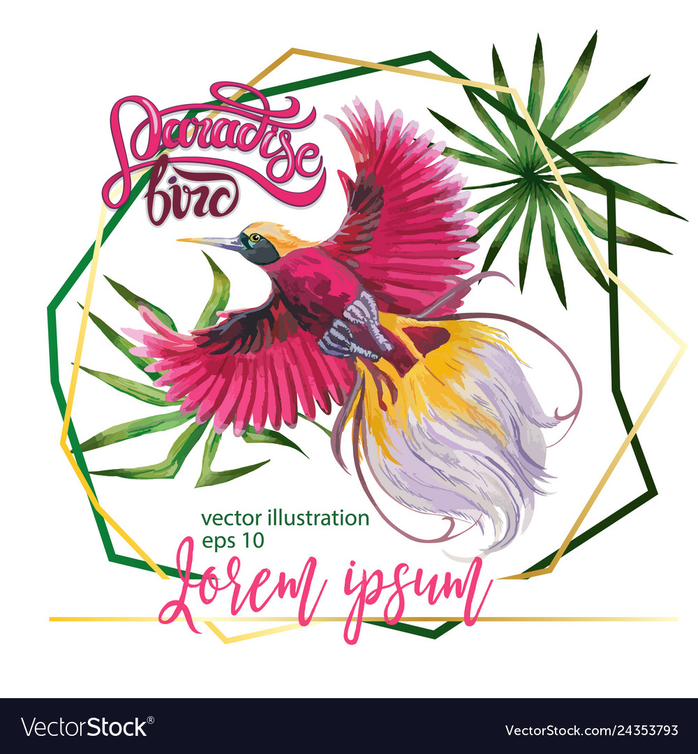 Watercolor beautiful tropical bird Royalty Free Vector Image