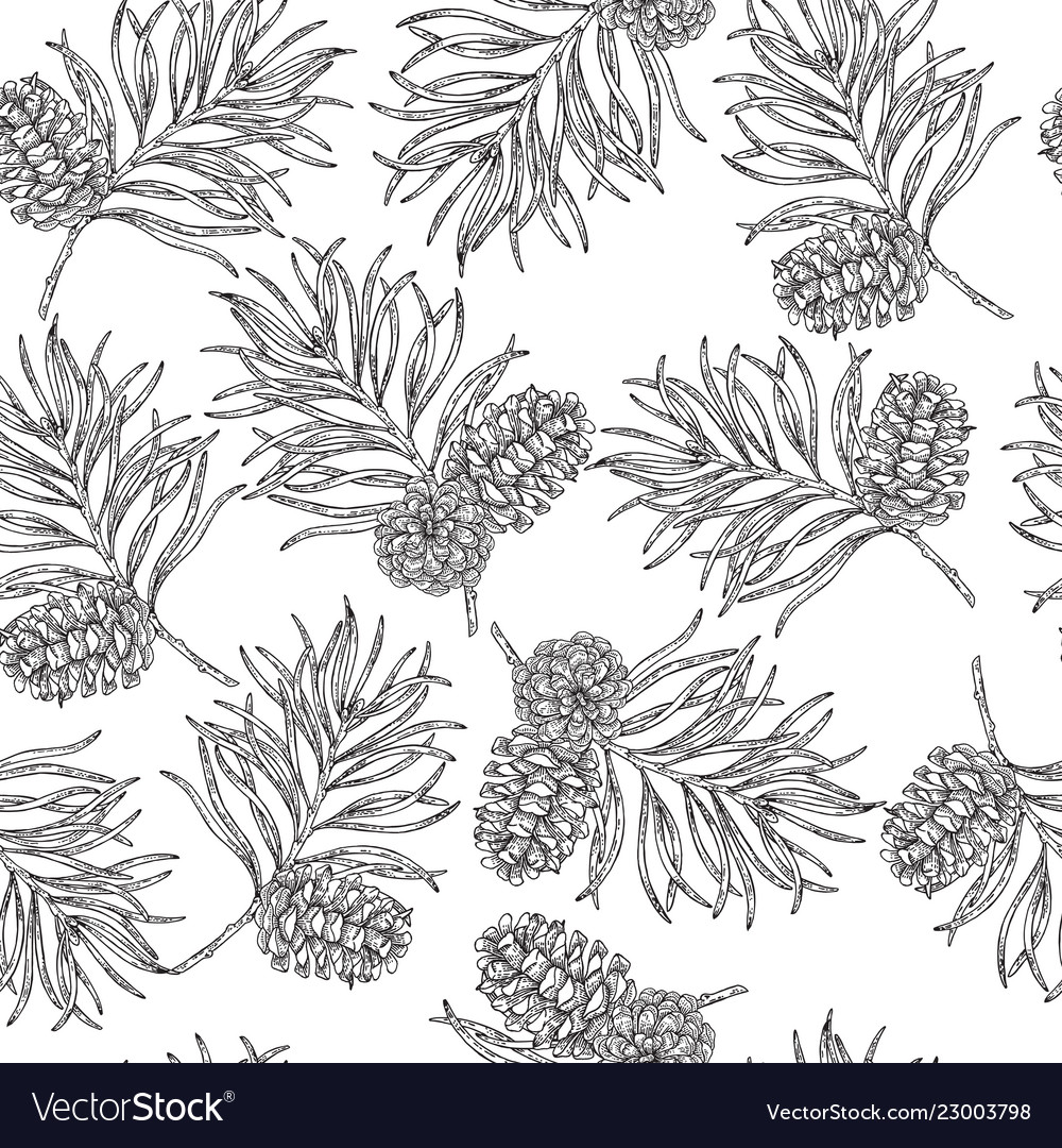 Seamless pattern with hand drawn pine cones