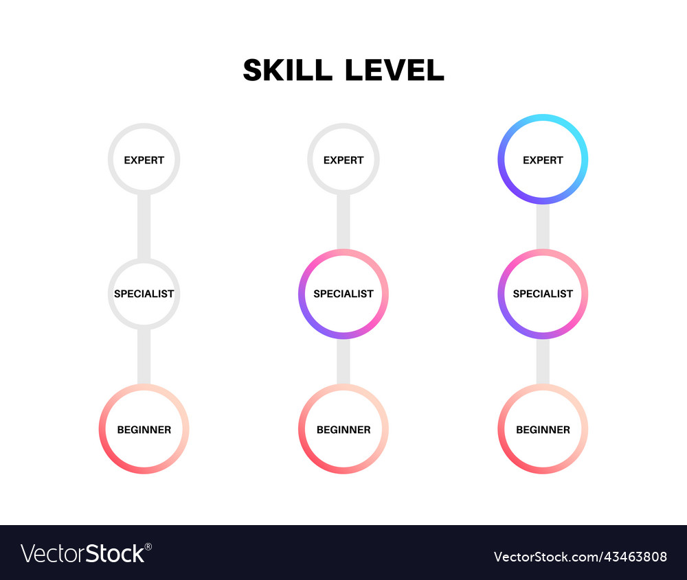 Skill level diagram Royalty Free Vector Image - VectorStock