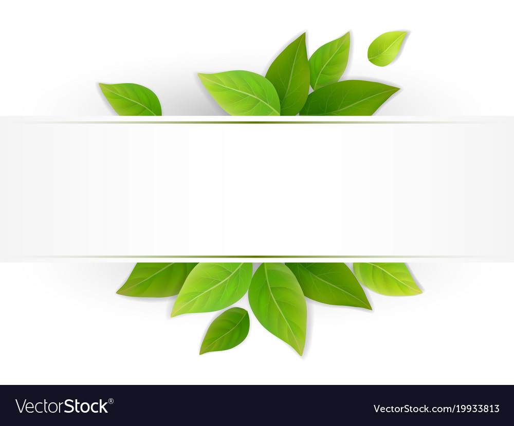 Label with fresh green leaves Royalty Free Vector Image