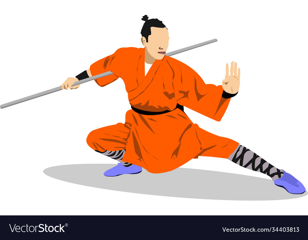 Oriental Combat Sports Kungfu Colored 3d Vector Image